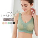 育乳 ナイトブラ ブラ 綺麗盛 ブラジャー シームレスブラ レース 谷間 型崩れ シームレスブラジャー 横垂れ 盛れる ノンワイヤー 大きいサイズ 下着 脇肉