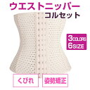 【送料無料】 ウエストニッパー コルセット 補正 矯正下着 ダイエット 腰痛 加圧 レディース メッシュ ウエスト くびれ 1000円ポッキリ JM-031