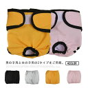 【送料無料】女の子 サニタリーパンツ しつけ マナーウェア 生理パンツ 男の子 マナーバンド マナーパンツ マナーベルト 漏れない