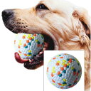 【送料無料】中型犬積極的なchewers. 運動咀嚼ボ ールおもちゃ 訓練犬.モル 咀嚼ボール