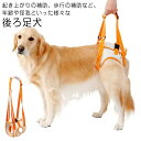 【送料無料】中型犬 大型犬 歩けない 快適 簡単装着 ケア用品 犬 ペット 胴輪 ハーネス 犬用 老犬 ハーネス 介護 歩行補助ハーネス