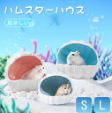 【送料無料】隠れ家 夏 おへや ハウス 夏対策 ハムスター ハムスター用ケージ 円形 隠れ家 寝床 お家 ハウス 貝 貝殻 ハムスター用ハウス(4)