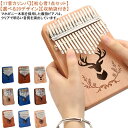 【送料無料】子供 17音 楽器 親指ピアノ 初心者セット アクセサリー付き サムピアノ 天然木製 マホガニー ゆびピアノ キッズ 演奏 かわいい