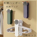 【送料無料】傷つけない 壁 2個セット 省スペース 穴開けず 強力粘着 前後伸縮式 北欧 ピンチ ハンガー 隠す 一括収納 ハンガー収納ボックス