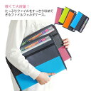 【送料無料】ファイル入れ 拡張フォルダー 大容量 防水 フォルダー 書類ケース 13ポケット ドキュメントファイルケース A4 ファイルケース