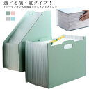 【送料無料】シンプル 書類ケース A4 13ポケット 収納 ケース 大容量 ドキュメントケース ファイル ファイルケース ファイルボックス
