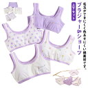 【送料無料】 ブラジャー4枚&ショーツ4枚セット!ブラ ジュニア キッズ パッドなし 綿 ブラショーツセット ジュニアブラ ブラ スポーツブラ 女の子 小学生 ...
