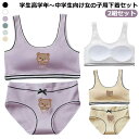 【送料無料】大人 カップ付き パッド付き ショーツ ジュニア下着セット レディース 上下セット キッズ ガールズ リブ パンツ ジュニアブラ