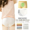 【送料無料】男の子 子供用 綿100% ショーツ 使い捨て 20枚セット!キッズ コットン100% 携帯 使い捨て下着 旅行 パンツ 災害 多色