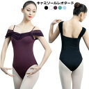 【送料無料】練習用 着 レッスン シースルー 女子 レディース 2way キャミソール ストレッチ メッシュ 袖付き スカートなし 大人 レオタード