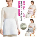 【送料無料】妊婦服 電磁波シールド 電磁波防止ブランケット 妊婦エプロン マタニティエプロン 電磁波カット 電磁波対策ウェア