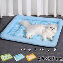 【送料無料】おしゃれ 可愛い 猫 犬 室内 クッション ペットベッド 角型 ペット用 ペットベッド ベッド 犬 猫