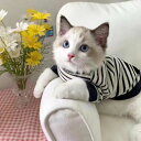 【送料無料】お洒落 カジュアル ボーダー柄 ドッグウェア キャットウェア ペット服 服 猫 犬服 猫服 ペットウェア