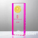 水晶 トロフィー 記念品 表彰 優勝 感謝 賞 カスタマイズ 彫刻 名入れ 高級感 透明感 美しい 光沢 デザイン オーダーメイド 記念日 永久 シンプル