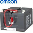 OMRON オムロン 交換用バッテリーパック(BU100RW用) BUB100R