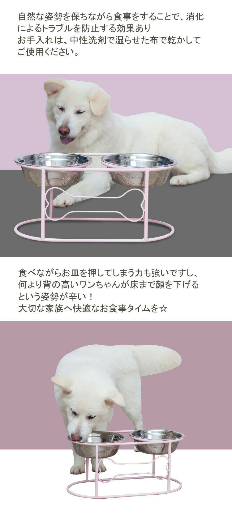 サンプル画像3