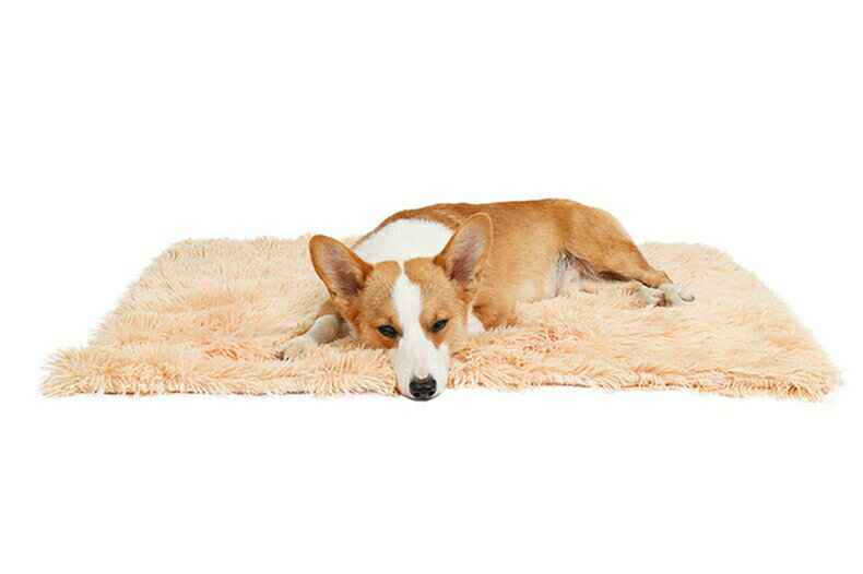 nu_BEのペット ブランケット 毛布 暖かい 軽い 両面 お昼寝 犬猫ペット用 マット タオル ソフト フリース 洗える 防寒 冷房対策 四季適用 犬用 猫用 犬用品 猫用品 ペット用品 寝具 保温 室内｜アングル3