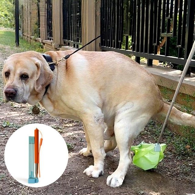 nu_BEの送料無料 フン取り器 フンキャッチ 犬用 うんち取り ロング 折り畳み ペット用品 散歩グッズ トイレ用品 手が汚れない 便利 簡単 エチケット いぬグッズ ペットグッズ｜アングル2