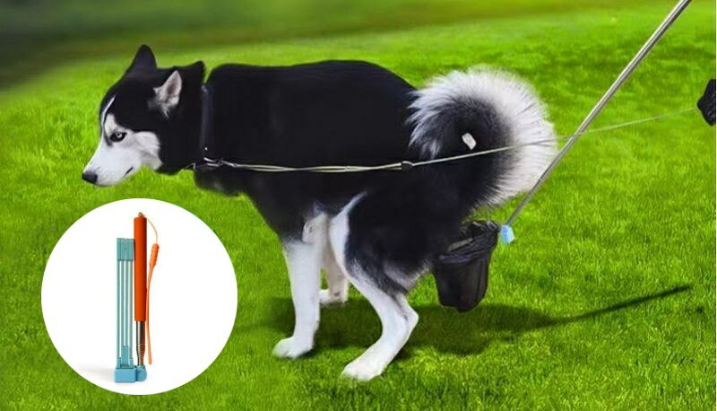 nu_BEの送料無料 フン取り器 フンキャッチ 犬用 うんち取り ロング 折り畳み ペット用品 散歩グッズ トイレ用品 手が汚れない 便利 簡単 エチケット いぬグッズ ペットグッズ｜アングル3