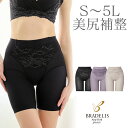 【23%OFF】【送料無料】ブラデリスニューヨーク / 綿混キャッチFITガードル23BRADELIS New York 綿混トリプルキャッチシリーズ Bradelis ガードル 補整下着　補整インナー ブラデリス 公式 大きいサイズ あり 4L 5L 接触冷感 吸汗 速乾 美ボディ