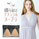 公式ヌーブラ 正規品 ヌーブラX・ナチュラルカバー / NuBra 正規品 シリコン ヌーブラ パッド パット ブラ ブラジャー シリコンブラ ヌードブラ その他のヌーブラ ヌーブラ 水着用 盛れる ニップレス