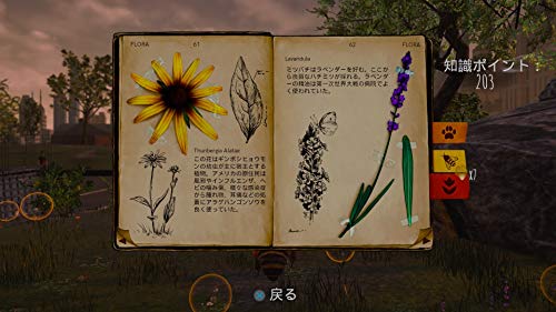 【中古】【輸入品・未使用】Bloodborne (輸入版:北米) - PS4