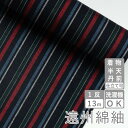 遠州綿紬 縞紬 TB-46 -こいのぼり-