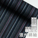 遠州綿紬 縞紬 TB-56 -銀河(ぎんが)-