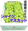 広島産沼隈ぶどうシャインマスカット4房入最高ランク品【贈答用/クール便】