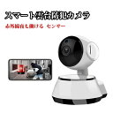 防犯カメラ 自動追跡 動体検知 音声検知 365万画素 監視カメラ ナイトビジョン 角度調節可能 見守りカメラ 音声付き録画 32GSDカード録画 同時監視 共...