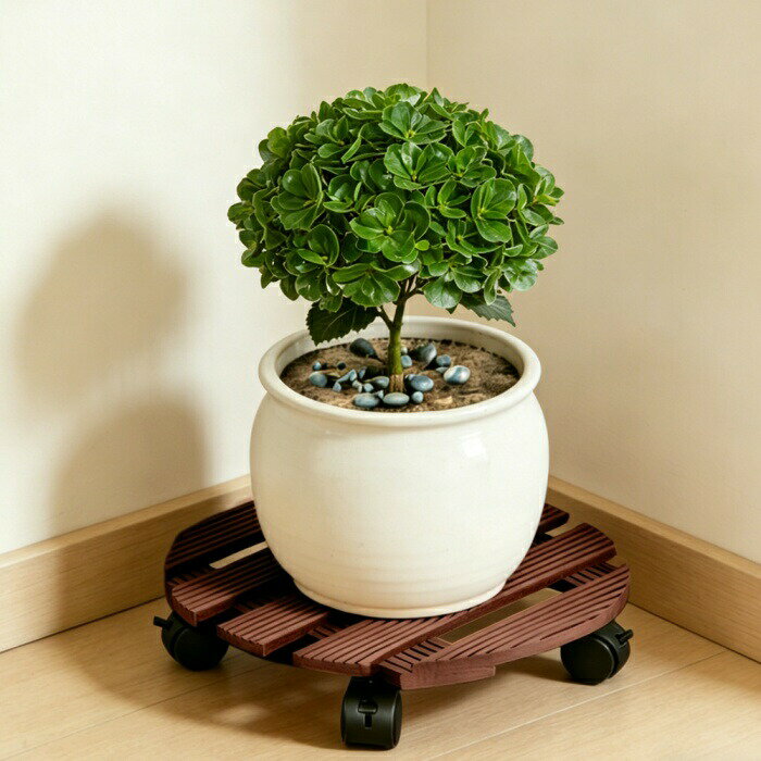 乐天商城 - 【2個セット】鉢置き キャスター付き 木製 丸型 30×30cm 花台 植木鉢台 車輪つき プラントムーバー プランタースタンド キャリー キャスター ウッド 木 プランターベース おしゃれ 鉢台 プランタートレー プランツトレー 室内 屋内