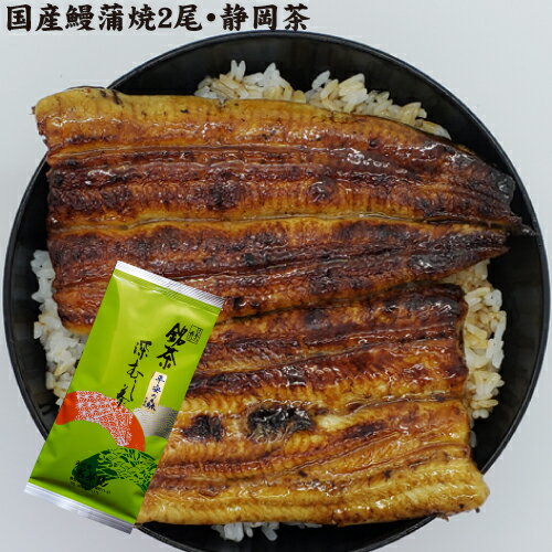 しずおかセット　手焼き　国産鰻蒲焼2尾・深蒸し茶100g　送料無料　冷蔵クール便のサムネイル