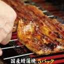 手焼き　国産鰻蒲焼　お値打ちサイズ5パック　送料無料　冷蔵クール便　国産うなぎ