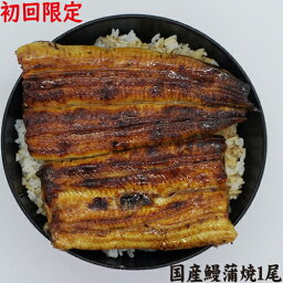 【初回限定】手焼き　国産鰻蒲焼1尾　送料無料　冷蔵クール便　初めての方限定　お一人様1回のみ