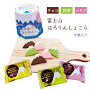 クッキー チョコクッキー チョコレート 富士山ほろりんしょこら 9枚入 富士山 Mt.Fuji fujisan 静岡 土産 いちご strawberry チョコ chocolate 抹茶 matcha cookie お菓子 お土産 おみやげ ギフト 食べ比べ 個包装 配りやすい おすそ分け かわいい