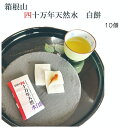 餅 箱根山四十万年天然水白餅 10個 箱根 天然水 もち 和菓子 小豆 つぶあん あんこ お土産 おみやげ ギフト 手土産 お返し 茶菓子 個包装 ご挨拶 企業...