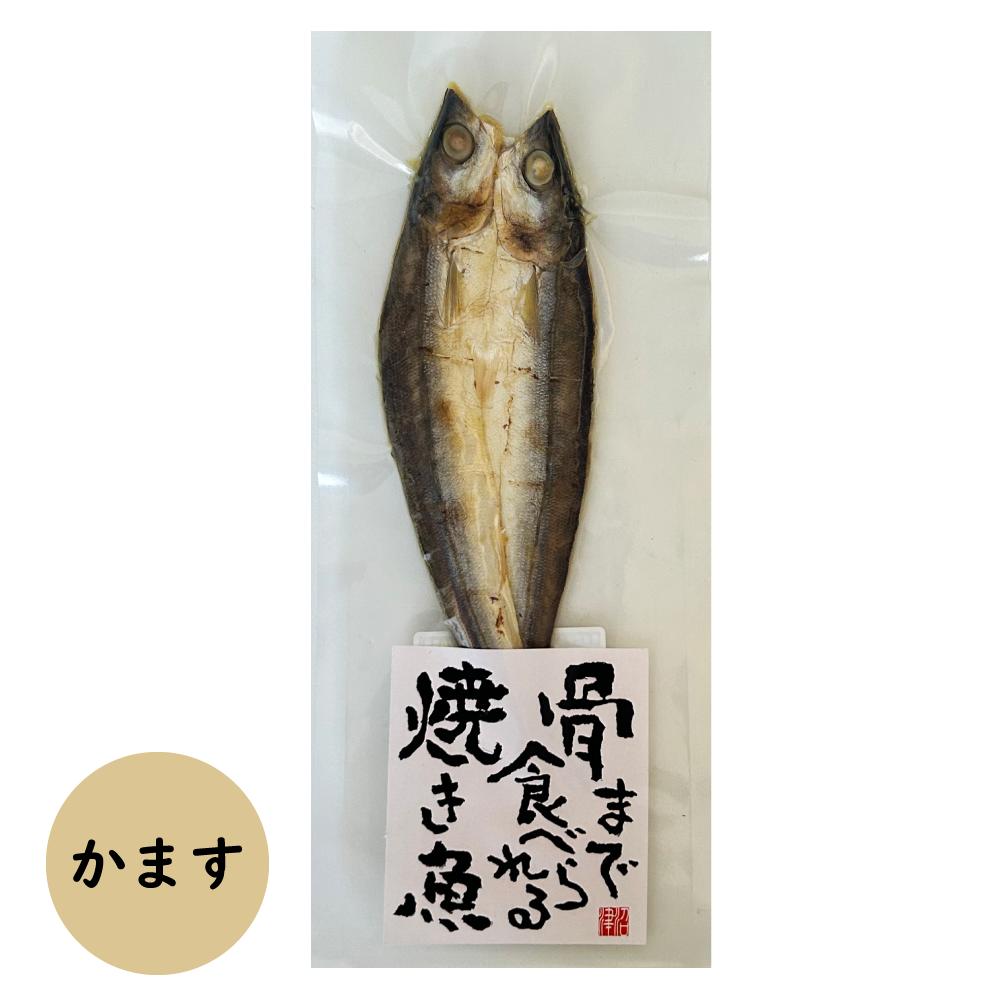 ���ޤǿ��٤���Ƥ��� �ޤ뤴�Ȥ��� �ޥ륳���ա��� ������ ���ޤ� ������ �� �Ƥ��� �Ƶ� �Ų� ���Ĥޤ� ī�� ͼ�� ���� �᡼���� �ݥ��� ������� ���å�