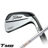 タイトリスト718T-MB単品アイアン(#2、#3、#4、50)日本仕様DynamicGoldAMTスチールシャフト