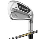 キャロウェイ 2024 Apex CB 単品アイアン 3 4 5 11 (AW) US仕様 TRUE TEMPER DYNAMIC GOLD MID 115 スチールシャフト ［Callaway エイペックス CB キャビティバック アイアン ゴルフ