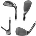 タイトリスト 2024 ボーケイデザイン　SM10　ALL-NEW NICKEL　ウェッジ　US仕様　46°～58°　ダイナミックゴールド S200 スチールシャフト [Titleist Vokey 　ニッケル　ゴルフ] 3