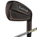 キャロウェイ 2025 限定モデル APEX Ai300 Brushed Copper アイアン 7本セット #5-PW , AW US仕様 True Temp...