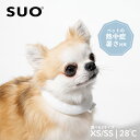 【LINE追加でクーポン☆】SUO 犬 クー