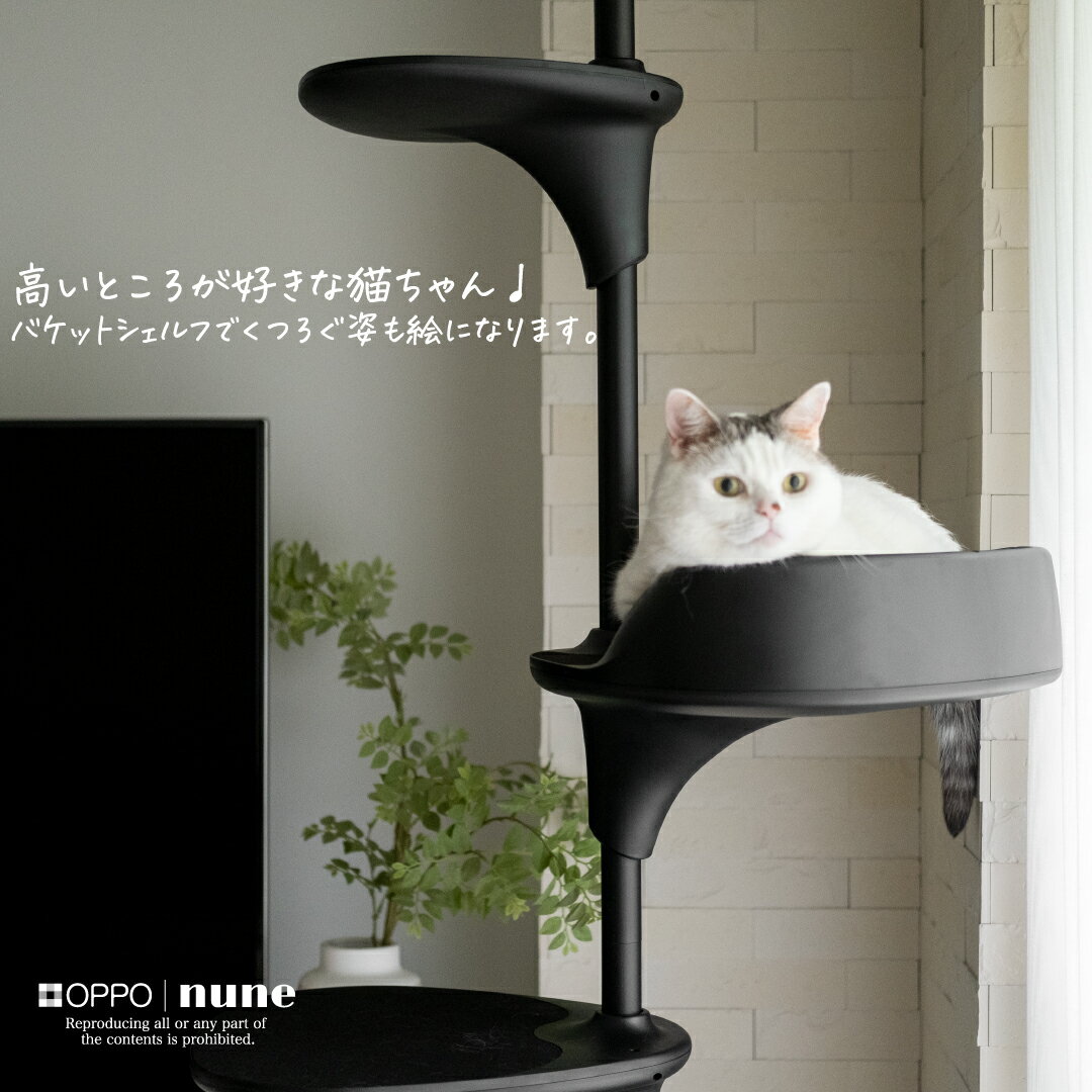 【LINE追加でクーポン☆】OPPO CatF...の紹介画像3