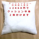 【背当てクッションと同時購入限定】背当てクッション中身 45×45cm 【2個】 クッションカバーをご購入いただいたお客様だけの特別価格でご提供