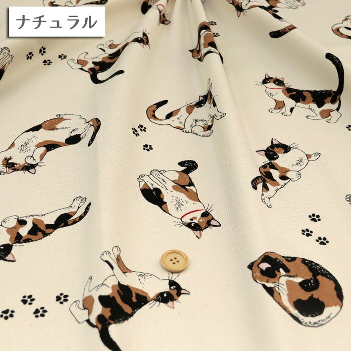 サンプル画像3
