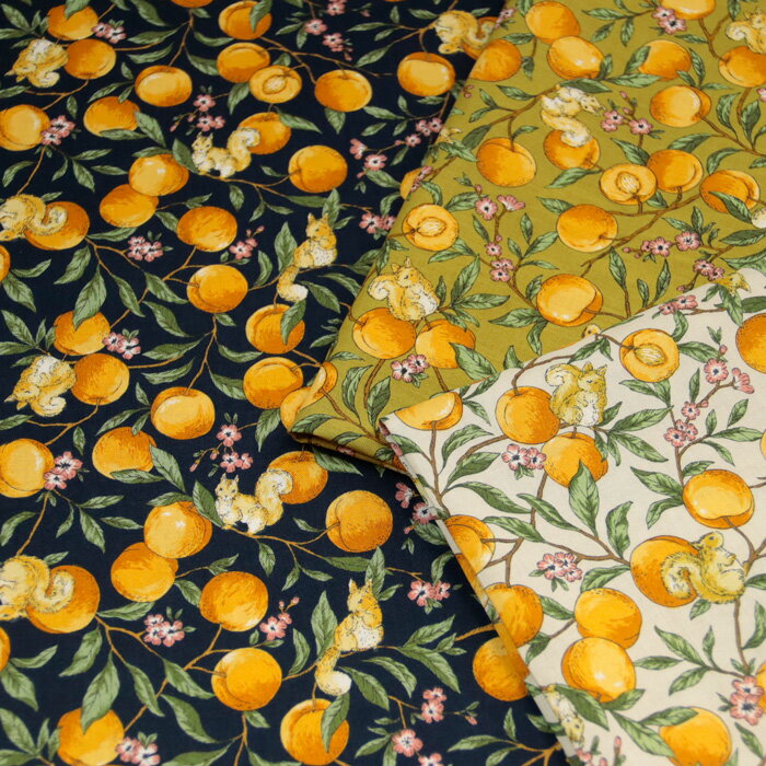 リチャードジノリ果物柄 取っ手付きレモン皿 8個セット リチャード