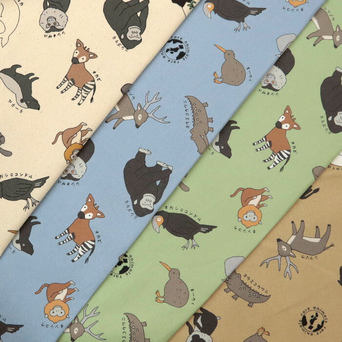 ̵쥷ͭ쥢˥ޥ륺 ޴ե꡼ å ưʪ å ǭ ˥ޥ ޴   奴  ϥɥᥤ   ˥  50cmñ