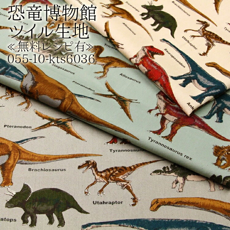 ≪無料レシピ有≫恐竜博物館 ツイル生地 ( 恐竜 dinosaur 入園 入学 学校 バッグ エプロン 巾着 布地 ) 50cm単位のサムネイル