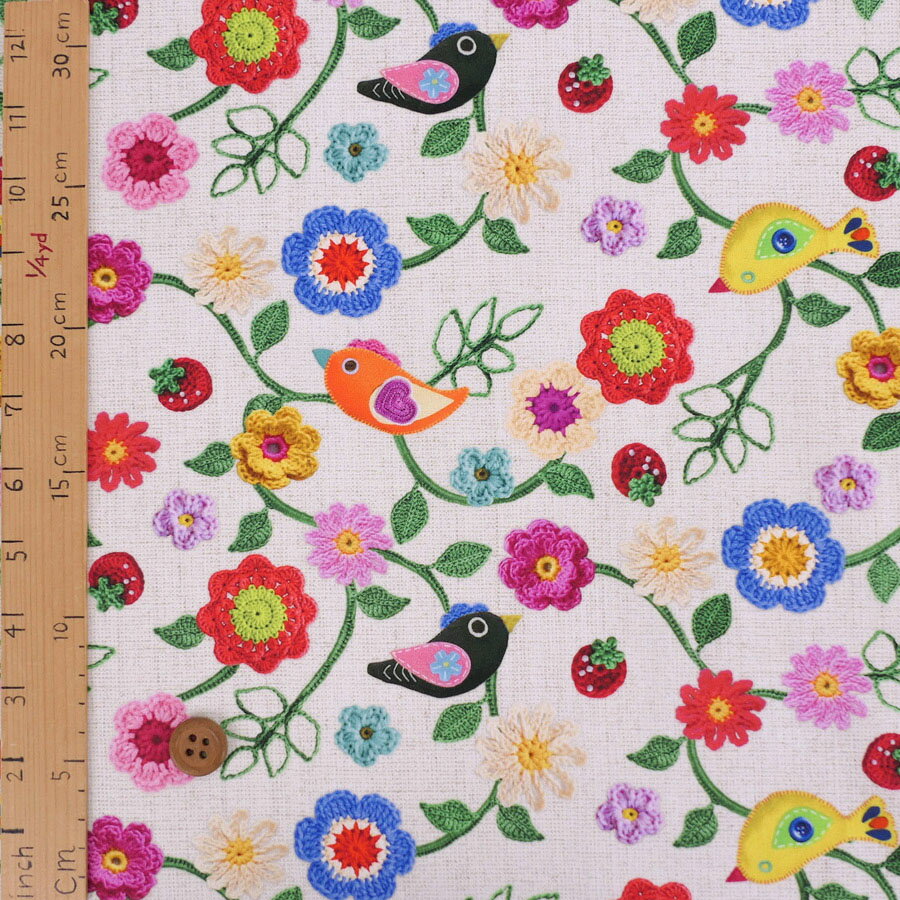 ���åȥ����� �����Ԥ����β֤Ⱦ�Ļ�Ȥ����� 10cmñ�� �ڤ����