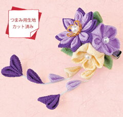https://thumbnail.image.rakuten.co.jp/@0_mall/nunogatari/cabinet/item01/1609/ts-lh124_1.jpg